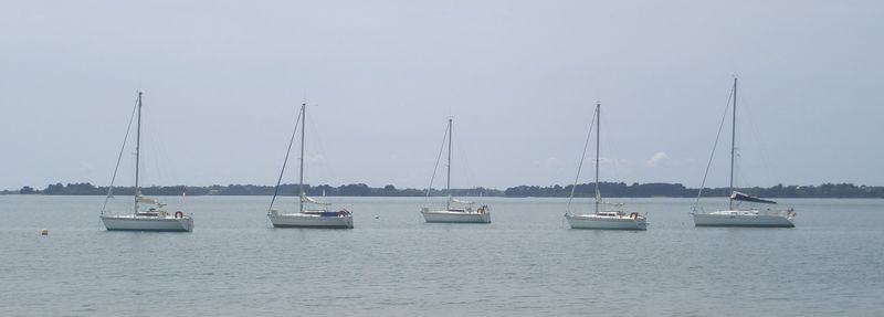 2008 GOLFE du MORBIHAN MAI 08